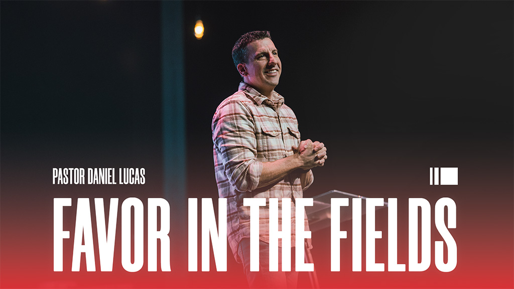 Favor In The Fields